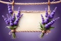 beautiful lavender flowers Royalty Free Stock Photo