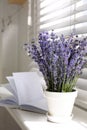 Beautiful lavender flowers and book on window sill Royalty Free Stock Photo