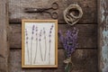 Beautiful lavender flowers, frame, twine and scissors on wooden table, flat lay Royalty Free Stock Photo