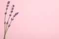 Beautiful lavender flowers on background, flat lay. Space for text Royalty Free Stock Photo