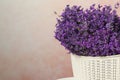 Beautiful lavender flowers in plastic basket against pink background, closeup. Space for text Royalty Free Stock Photo