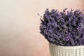 Lavender flowers in plastic basket against pink background, closeup. Space for text Royalty Free Stock Photo