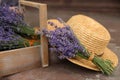 Beautiful lavender flowers and straw hat on cement floor Royalty Free Stock Photo