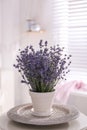 Beautiful lavender flowers on white table Royalty Free Stock Photo