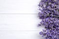 Beautiful lavender flowers on white background, flat lay. Space for text Royalty Free Stock Photo