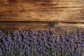 Beautiful lavender flowers on background, flat lay. Space for text Royalty Free Stock Photo