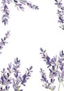 Beautiful lavender frame with watercolor twigs, flowers. Violet border illustration for wedding invitation, greeting card