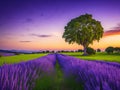 Beautiful lavender meadow scenery the last of the summer\'s trees.