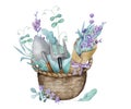 Beautiful lavender provence watercolor illustration