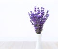 Beautiful lavender.