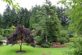 A beautiful lawn among flowers and century-old trees in the Butchart Garden Royalty Free Stock Photo