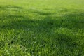 Beautiful lawn with fresh cut green grass on sunny day Royalty Free Stock Photo