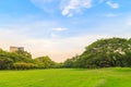 Beautiful lawn and trees in the park with clouds and blue sky.