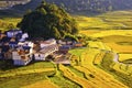 Terrace at guizhou china