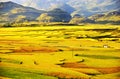 Terrace at guizhou china Royalty Free Stock Photo