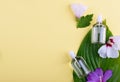 Beautiful layout of cosmetic products on a yellow background. Natural cosmetics for face and body Royalty Free Stock Photo
