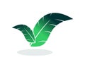 Beautiful leaf for your design make it simple Royalty Free Stock Photo