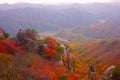 Beautiful leafs during Autumn season in the morning at Daedunsan Royalty Free Stock Photo