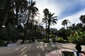 Beautiful and leafy municipal park in Elche between palm trees