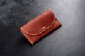 Beautiful leather brown purse made of leather to store paper money Royalty Free Stock Photo