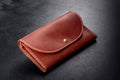 Beautiful leather brown purse made of leather to store paper money Royalty Free Stock Photo