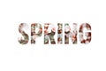 Beautiful lettering of the word Spring on a white background. The concept of Congratulations on the spring holiday on a postcard