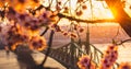 Beautiful Liberty Bridge at sunrise with cherry blossom in Budapest, Hungary. Spring has arrived to Budapest Royalty Free Stock Photo
