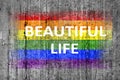 Beautiful life and LGBT flag painted on background texture gray Royalty Free Stock Photo