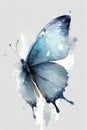 beautiful light blue butterfly watercolor Royalty Free Stock Photo