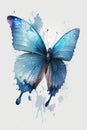 beautiful light blue Butterfly watercolor no background Royalty Free Stock Photo