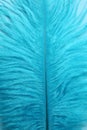 Beautiful light blue feather as background, closeup Royalty Free Stock Photo