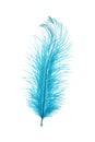 Beautiful light blue feather isolated on white Royalty Free Stock Photo