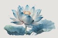 beautiful light blue Lotus watercolor no background Royalty Free Stock Photo