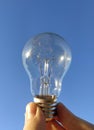 Beautiful light bulb in the river against the blue sky life freedom idea Royalty Free Stock Photo