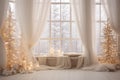 Beautiful light Christmas themed photo zone with twinkle lights