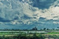 Beautiful light in dark and dramatic storm clouds after rain. Field of green plant and pond over dramatic blue sky. Royalty Free Stock Photo