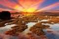 Beautiful light dramatic sky scenery over tropical sea with reflexion in the water,beautiful sunrise at phuket thailand. Royalty Free Stock Photo