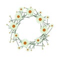 Beautiful Light Green Daisy Wreath on White Background