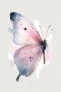 beautiful light pink butterfly watercolor butterfly watercolor painting Royalty Free Stock Photo