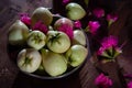 Beautiful light and shade photography Malay apples and Pink Mala