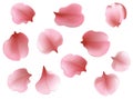 Beautiful light spring background seamless pattern with pink flying petals of sakura - Japanese cherry tree. Royalty Free Stock Photo