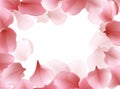 Beautiful light spring frame pattern with pink flying petals of sakura - Japanese cherry tree.