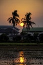 Beautiful light of Sunset with clouds in the sky reflection behind the building and trees Royalty Free Stock Photo