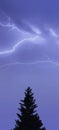 beautiful lightning in the twilight sky Royalty Free Stock Photo