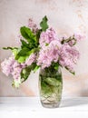 Beautiful lilac bouquet in crystal vase on light textured background. Royalty Free Stock Photo