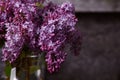 Beautiful lilac bouquet in a glass vase on the dark grey background