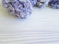 Beautiful lilac bouquet natural botany composition april blossom vintage on white wooden frame background Royalty Free Stock Photo
