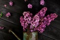 Beautiful lilac flower bouquet in metal watering can, pot Royalty Free Stock Photo