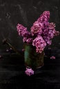 Beautiful lilac flower bouquet in metal watering can, pot Royalty Free Stock Photo