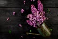 Beautiful lilac flower bouquet in metal watering can, pot Royalty Free Stock Photo